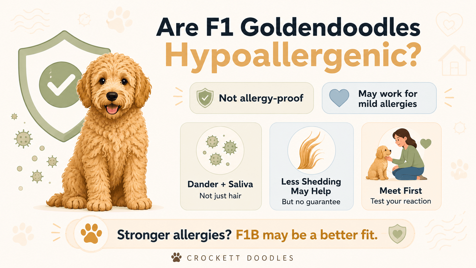 Are F1 Goldendoodles hypoallergenic