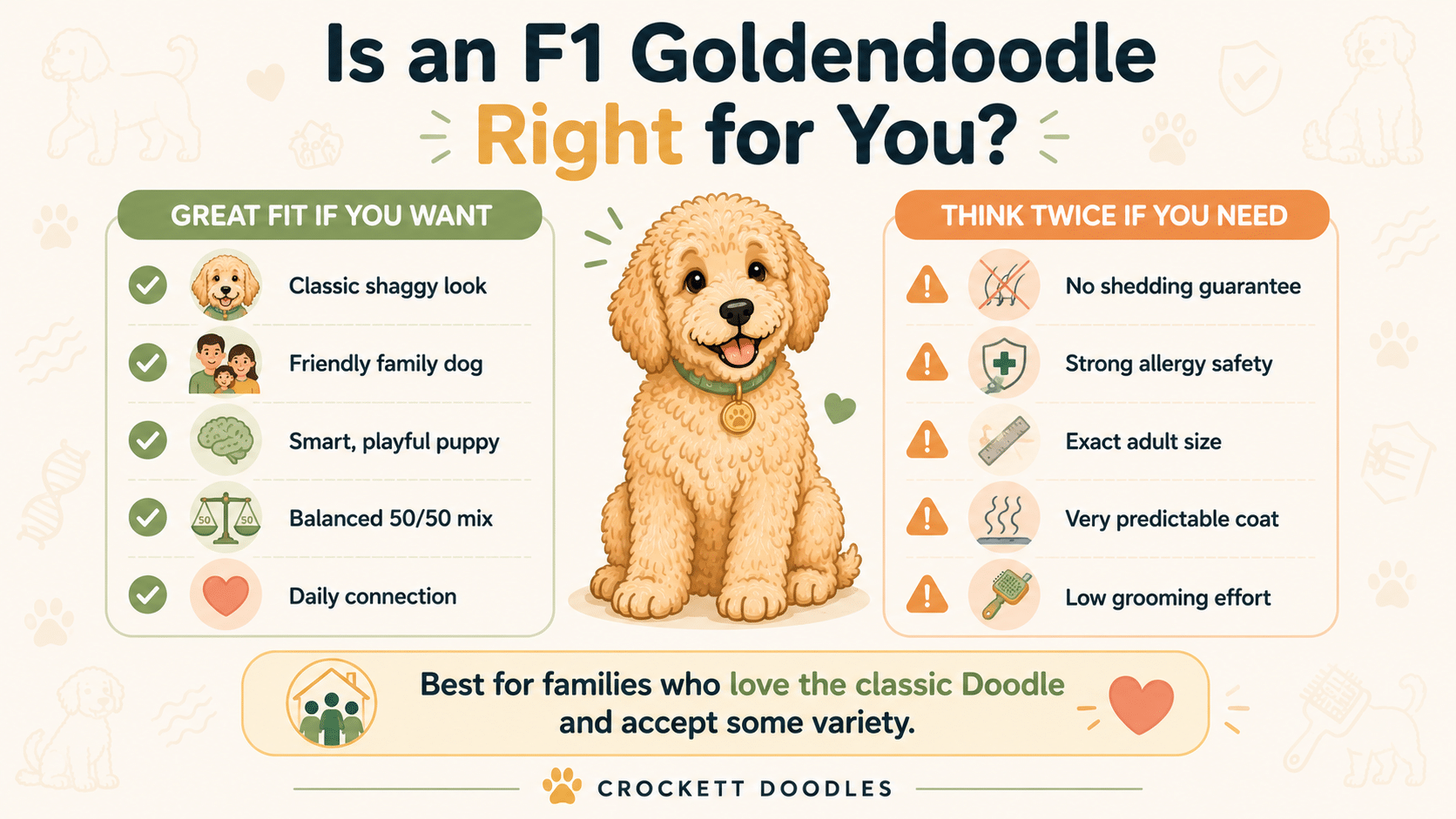 Is an F1 Goldendoodle right for you?