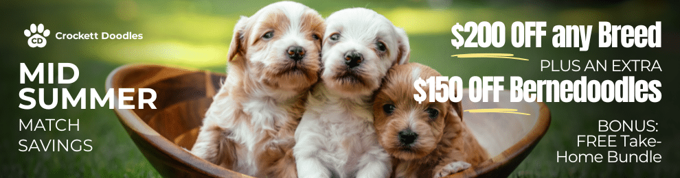 Available Puppies