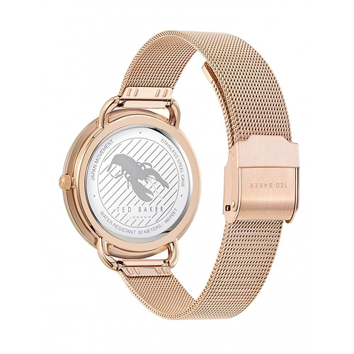 שעון Ted Baker