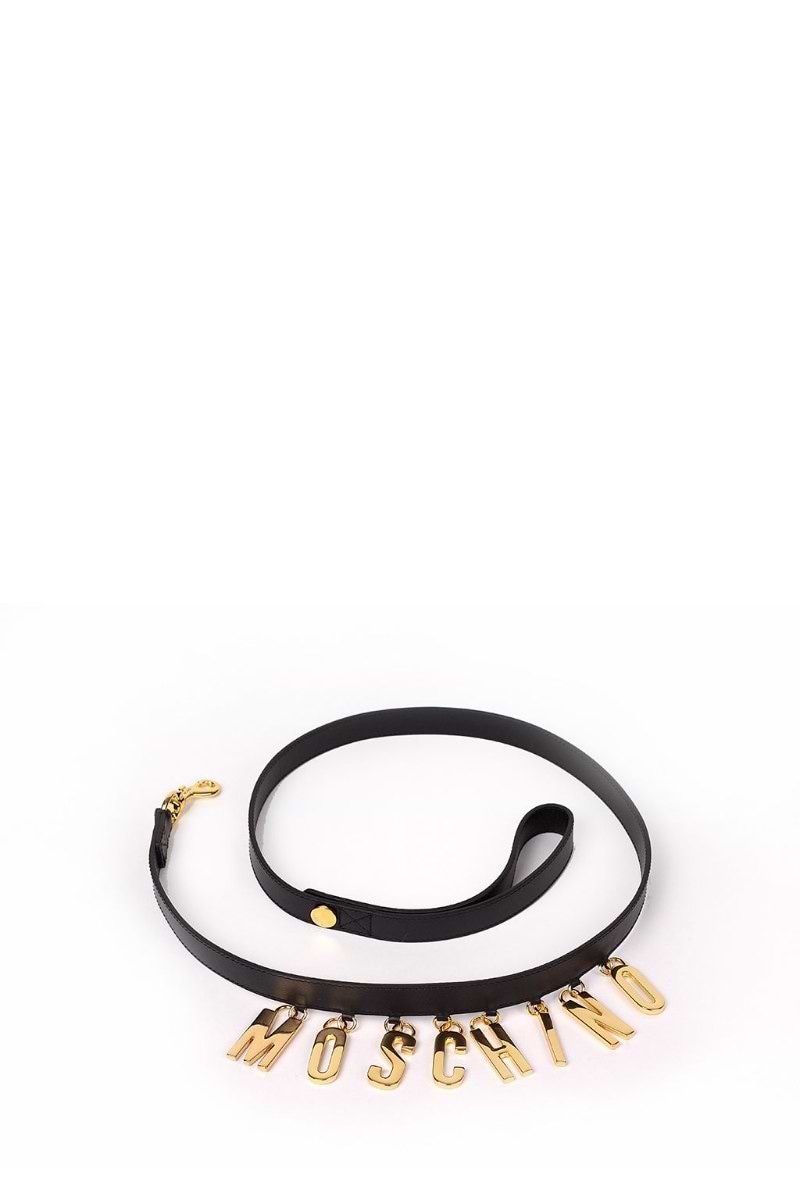 Moschino couture dog Dog leash