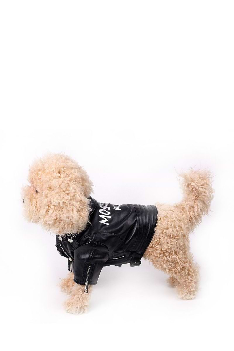Moschino couture dog Long jacket