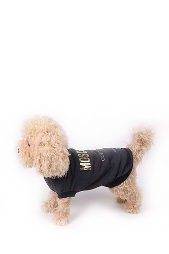Moschino couture dog T-shirt