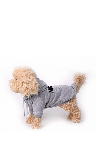Moschino couture dog Sweatshirt
